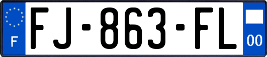 FJ-863-FL