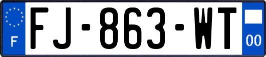 FJ-863-WT