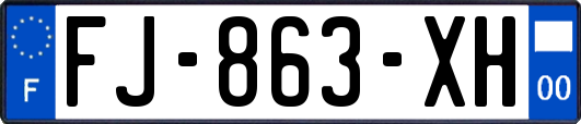 FJ-863-XH