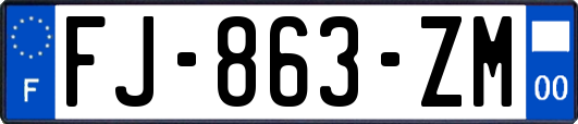 FJ-863-ZM