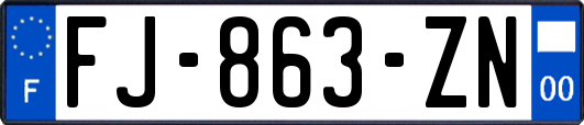 FJ-863-ZN