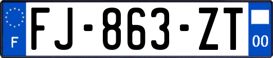 FJ-863-ZT