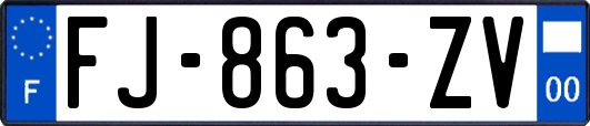 FJ-863-ZV