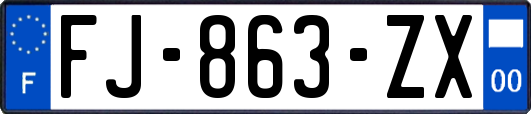 FJ-863-ZX