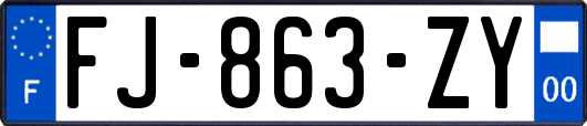 FJ-863-ZY