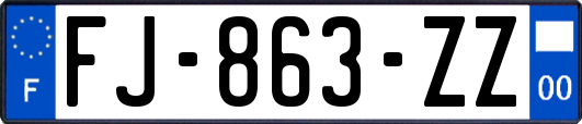 FJ-863-ZZ