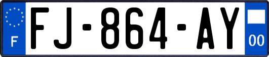 FJ-864-AY