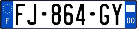 FJ-864-GY