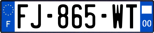 FJ-865-WT