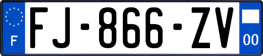 FJ-866-ZV