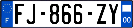 FJ-866-ZY