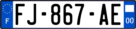 FJ-867-AE