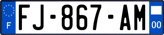 FJ-867-AM