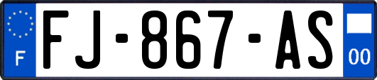 FJ-867-AS