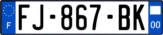 FJ-867-BK