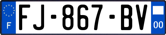 FJ-867-BV