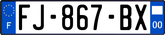 FJ-867-BX