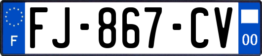 FJ-867-CV