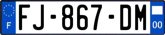 FJ-867-DM