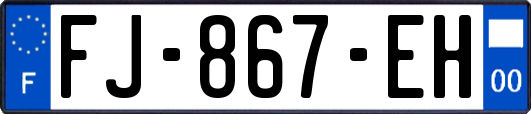 FJ-867-EH