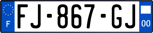 FJ-867-GJ