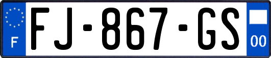 FJ-867-GS
