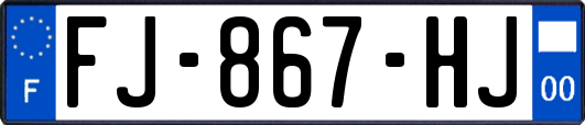 FJ-867-HJ