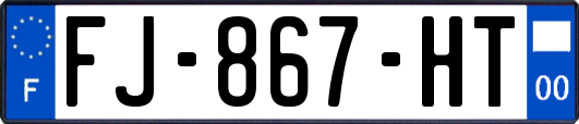 FJ-867-HT