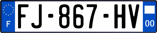 FJ-867-HV