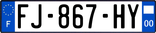 FJ-867-HY