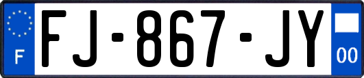 FJ-867-JY