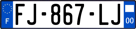 FJ-867-LJ