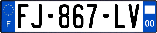 FJ-867-LV