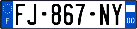 FJ-867-NY