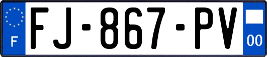 FJ-867-PV