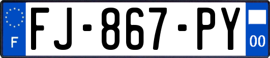 FJ-867-PY