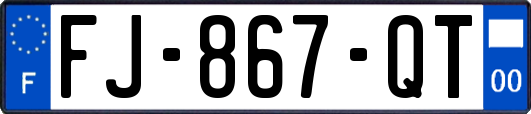 FJ-867-QT