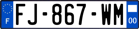 FJ-867-WM