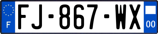 FJ-867-WX