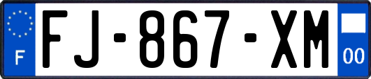 FJ-867-XM