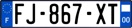 FJ-867-XT