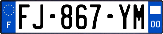FJ-867-YM