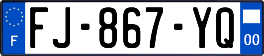 FJ-867-YQ
