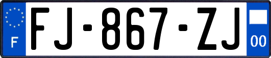 FJ-867-ZJ