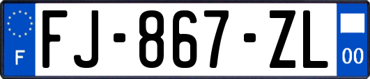 FJ-867-ZL