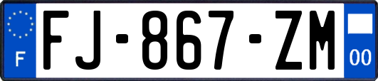 FJ-867-ZM