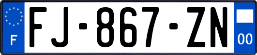 FJ-867-ZN