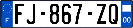 FJ-867-ZQ