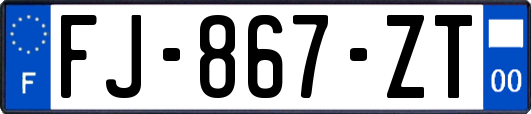 FJ-867-ZT