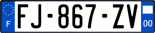 FJ-867-ZV